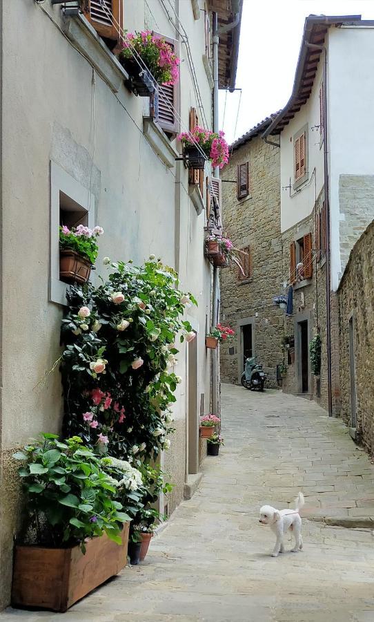 Casa Agata, Accogliente Appartamento Nel Centro Storico Cortona Kültér fotó